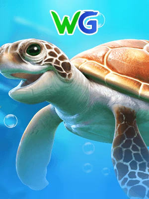 Mr Turtle (WG)